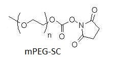 mPEG-SC (SC: Succinimidyl Carbonate)