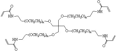 Sketch of 4-Arm PEG-Acrylamide PEG Derivative
