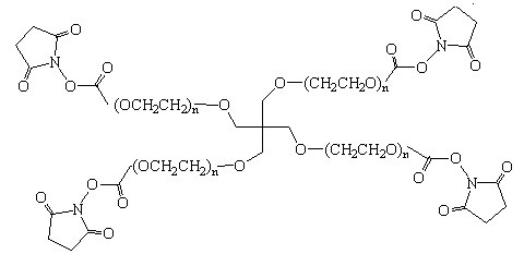 4-Arm PEG-SC (SC: Succinimidyl Carbonate)