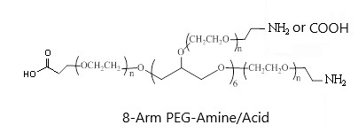 8 Arm PEG Amine Acid