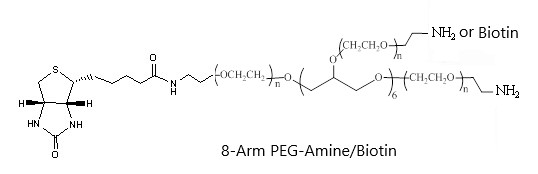 8-Arm PEG-Amine/Biotin