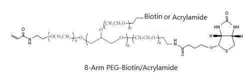 8 Arm PEG Biotin Acrylamide