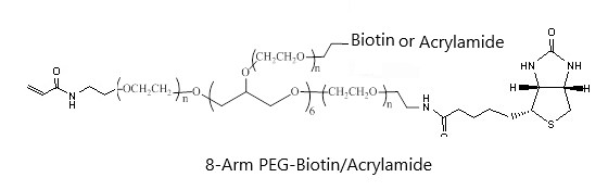 8-Arm PEG-Biotin/Acrylamide