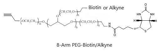 8-Arm PEG-Biotin/Alkyne