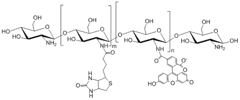 Biotin-Chitosan-Fluorescein