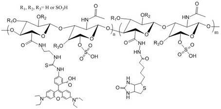 Biotin-Chondroitin Sulfate-Fluorescein