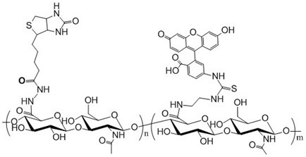 Biotin-Hyaluronic Acid-Fluorescein