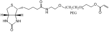 Biotin-PEG-AC (Biotin-PEG-Acrylate)