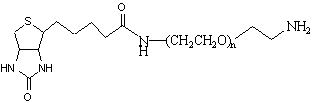 Sketch of Biotin-PEG-NH2, a linear heterobifunctional PEG reagent
