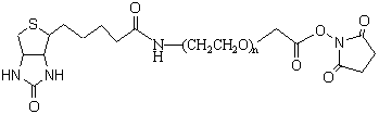 Biotin-PEG-SCM (Biotin-PEG-Succinimidyl Carboxymethyl ester)