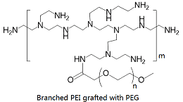 Branched PEI grafted with PEGs