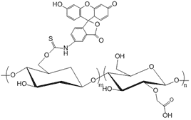 Illustration of CM Dextran Fluorescein.