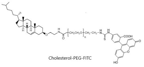 Cholesterol-PEG-FITC