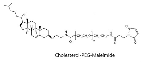 Cholesterol-PEG-Maleimide