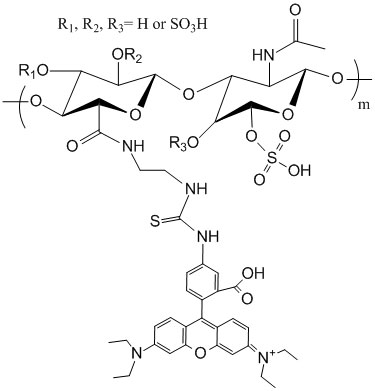 Chondroitin Sulfate Rhodamine