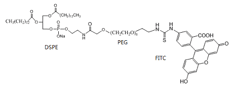Sketch of DSPE-PEG-FITC PEGylation reagent