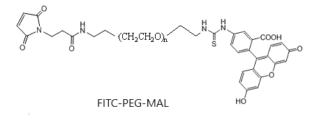 FITC-PEG-MAL (Fluorescein-PEG-Maleimide)