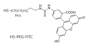 FITC-PEG-SH (Fluorescein-PEG-Thiol)