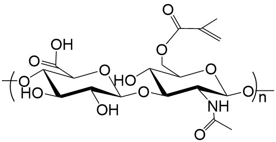 Hyaluronic Acid Methacrylate