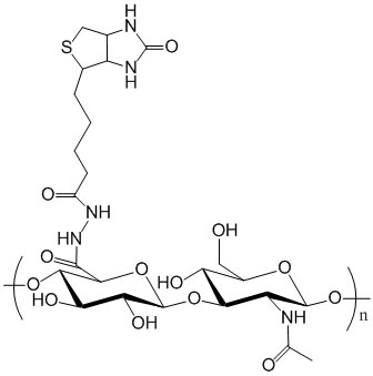 Sketch of Hyaluronate Biotin which is hyaluronic acid labeled with biotin