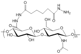 Hyaluronate Hydrazide