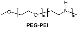 PEG PEI block copolymer