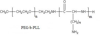 PEG Polylysine Block Copolymer