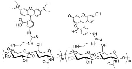 Rhodamine Hyaluronate fluorescein