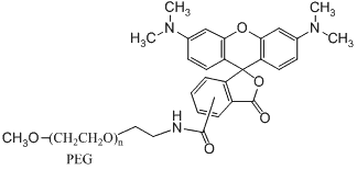 mPEG-Rhodamine