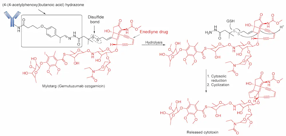 Graphic (Figure 5) that shows hydrazone linker used in pharmaceuticals.
