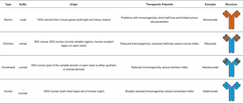 Table that shows the types of monoclonal antibody