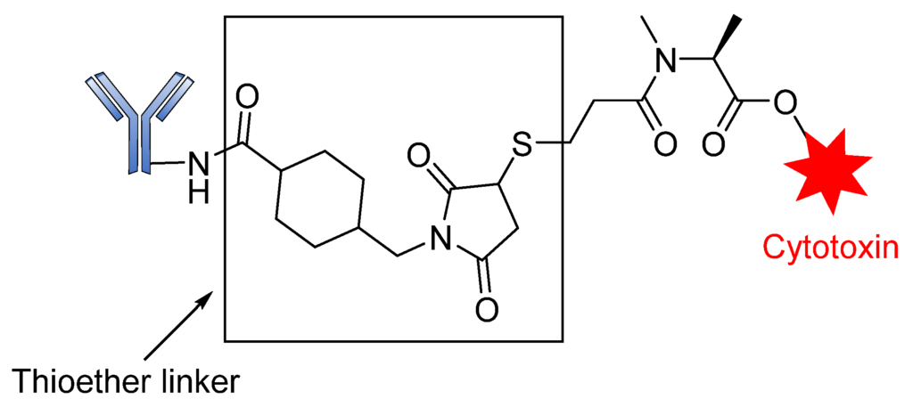 Figure 16. Structure of T-DM1 containing a thioether linker.