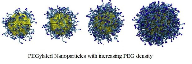 pegylated nanoparticle