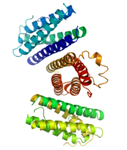 Pegfilgrastim V16B19 large