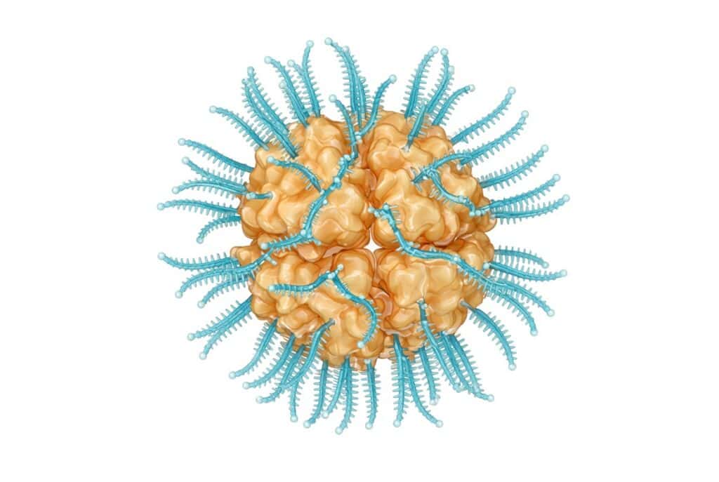 Multi-site POEGMA conjugation of highly immunogenic proteins (uricase)